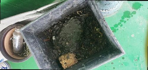 대전 동구 신인동 하수구막힘 배관 내부 점검과 세척 과정을 보여주는 이미지