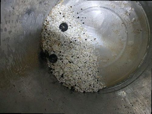 대전 동구 하수구막힘 배수구 주변의 물 고임과 배수 지연 상태를 확인하는 모습